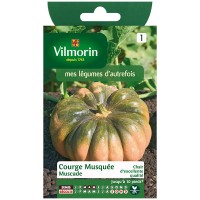 COURGE MUSQUEE PROVENCE (1)
