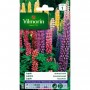 LUPIN ANNUEL (1)