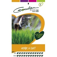 HERBE A CHAT (3)
