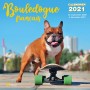 CALENDRIER BOULEDOGUE FRANCAIS 2021