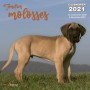 CALENDRIER TENDRES MOLOSSES 2021