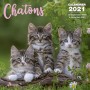 CALENDRIER CHATONS 2021