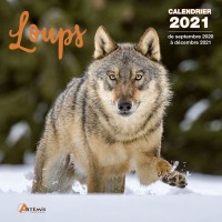 CALENDRIER LOUPS 2021