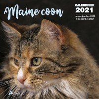 CALENDRIER MAINE COON 2021
