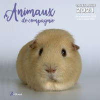 CALENDRIER ANIMAUX DE COMPAGNIE 2021