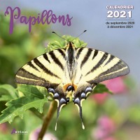 CALENDRIER PAPILLONS 2021