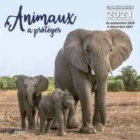 CALENDRIER ANIMAUX A PROTEGER 2021