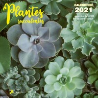 CALENDRIER PLANTES SUCCULENTES 2021