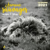 CALENDRIER ANIMAUX SAUVAGES NOIR ET BLANC 2021