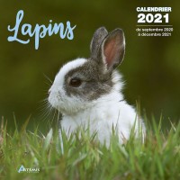 CALENDRIER LAPINS 2021