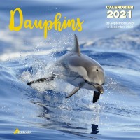CALENDRIER DAUPHINS 2021