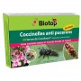 COCCIFLY LARVES ANTI PUCERONS 50 LARVES