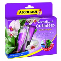 Doses Revitalisantes Orchidées mono dose x5