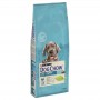 DOG CHOW PUPPY LARGE BREED DINDE & RIZ 14KG