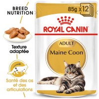 MAINE COON ADULT 12X85G